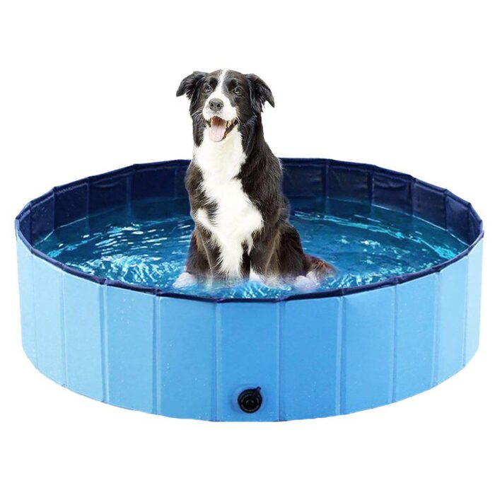 Dog Pool 120x30cm Ozami Blå