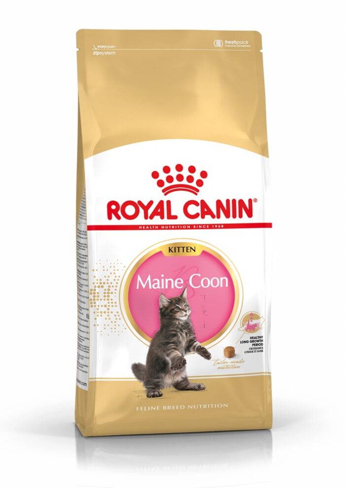 Royal Canin Maine Coon Kitten 10 kg