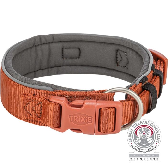 Premium halsband, X-bred, XS-S: 27-35 cm/25 mm, rost/grafit